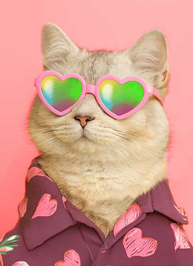 Coolest Val Cat Funny      Wishing you the coolest, chillest Valentine's Day